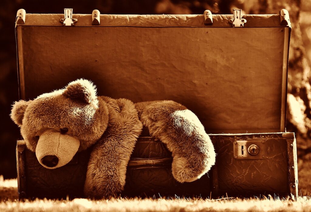 luggage, teddy bear, vintage